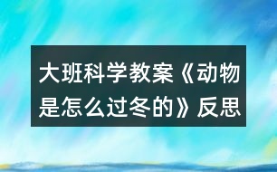 大班科學教案《動物是怎么過冬的》反思