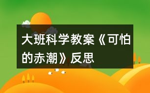 大班科學(xué)教案《可怕的赤潮》反思