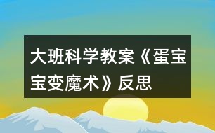 大班科學(xué)教案《蛋寶寶變魔術(shù)》反思