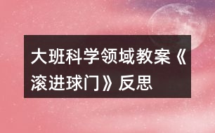 大班科學(xué)領(lǐng)域教案《滾進(jìn)球門》反思