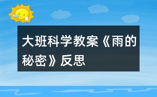 大班科學(xué)教案《雨的秘密》反思