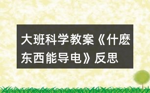 大班科學(xué)教案《什麼東西能導(dǎo)電》反思