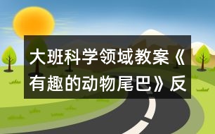 大班科學(xué)領(lǐng)域教案《有趣的動(dòng)物尾巴》反思