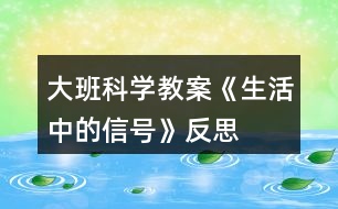 大班科學(xué)教案《生活中的信號》反思