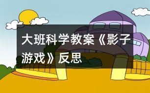 大班科學(xué)教案《影子游戲》反思