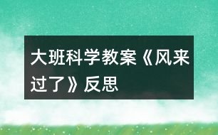 大班科學(xué)教案《風(fēng)來(lái)過(guò)了》反思