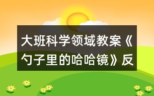 大班科學領域教案《勺子里的哈哈鏡》反思