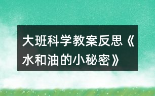 大班科學(xué)教案反思《水和油的小秘密》