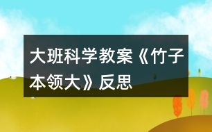 大班科學教案《竹子本領大》反思