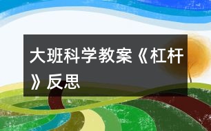 大班科學教案《杠桿》反思