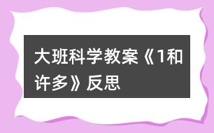 大班科學教案《1和許多》反思