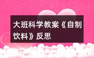 大班科學(xué)教案《自制飲料》反思