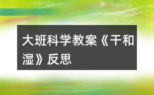 大班科學教案《干和濕》反思