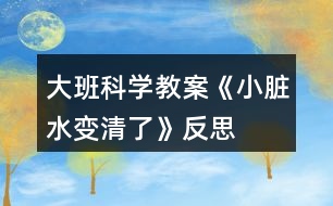 大班科學教案《小臟水變清了》反思