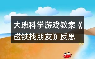 大班科學(xué)游戲教案《磁鐵找朋友》反思