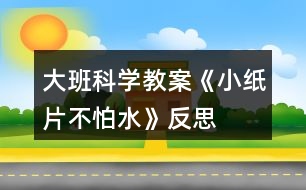 大班科學(xué)教案《小紙片不怕水》反思