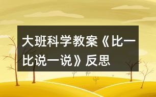 大班科學教案《比一比說一說》反思