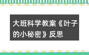 大班科學教案《葉子的小秘密》反思