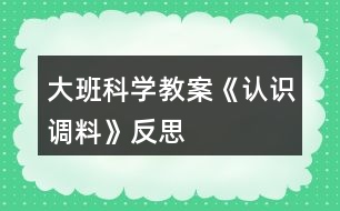 大班科學(xué)教案《認(rèn)識(shí)調(diào)料》反思