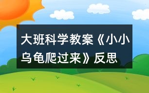 大班科學教案《小小烏龜爬過來》反思