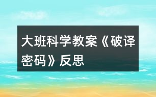 大班科學教案《破譯密碼》反思