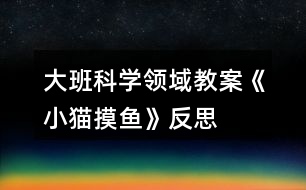 大班科學(xué)領(lǐng)域教案《小貓摸魚(yú)》反思