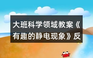 大班科學(xué)領(lǐng)域教案《有趣的靜電現(xiàn)象》反思