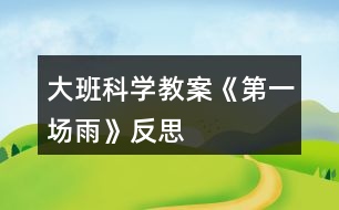 大班科學教案《第一場雨》反思