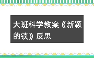 大班科學(xué)教案《新穎的鎖》反思