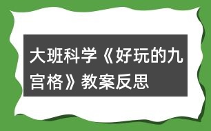 大班科學(xué)《好玩的九宮格》教案反思