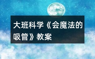 大班科學(xué)《會(huì)魔法的吸管》教案