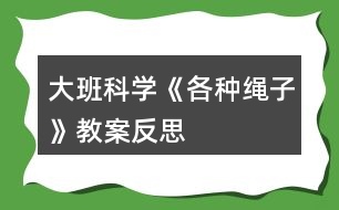 大班科學(xué)《各種繩子》教案反思