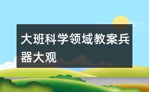 大班科學(xué)領(lǐng)域教案兵器大觀