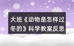 大班《動(dòng)物是怎樣過冬的》科學(xué)教案反思