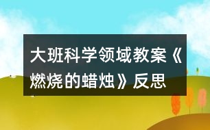 大班科學(xué)領(lǐng)域教案《燃燒的蠟燭》反思