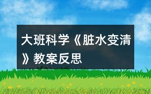 大班科學(xué)《臟水變清》教案反思