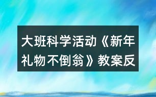 大班科學(xué)活動(dòng)《新年禮物不倒翁》教案反思