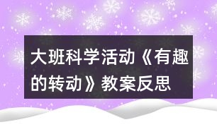 大班科學(xué)活動(dòng)《有趣的轉(zhuǎn)動(dòng)》教案反思