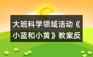 大班科學(xué)領(lǐng)域活動《小藍和小黃》教案反思