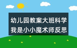 幼兒園教案大班科學我是小小魔術(shù)師反思