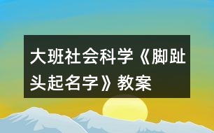 大班社會科學《腳趾頭起名字》教案