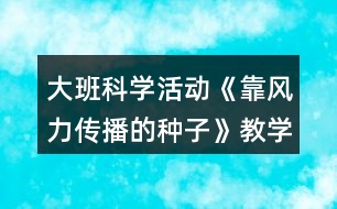 大班科學活動《靠風力傳播的種子》教學設(shè)計活動反思