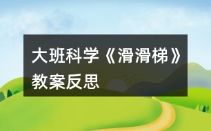 大班科學《滑滑梯》教案反思