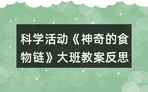 科學(xué)活動(dòng)《神奇的食物鏈》大班教案反思