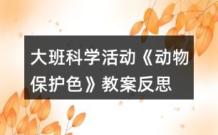 大班科學(xué)活動《動物保護(hù)色》教案反思