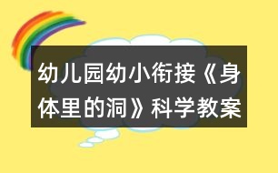 幼兒園幼小銜接《身體里的洞》科學(xué)教案