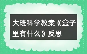 大班科學教案《盒子里有什么》反思