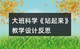 大班科學(xué)《站起來》教學(xué)設(shè)計(jì)反思