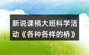 新說課稿大班科學(xué)活動《各種各樣的橋》教案反思