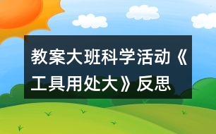 教案大班科學(xué)活動《工具用處大》反思